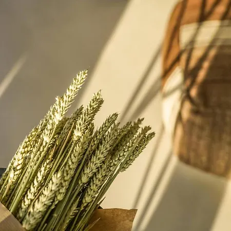 빌라 Mykonos High Plintri