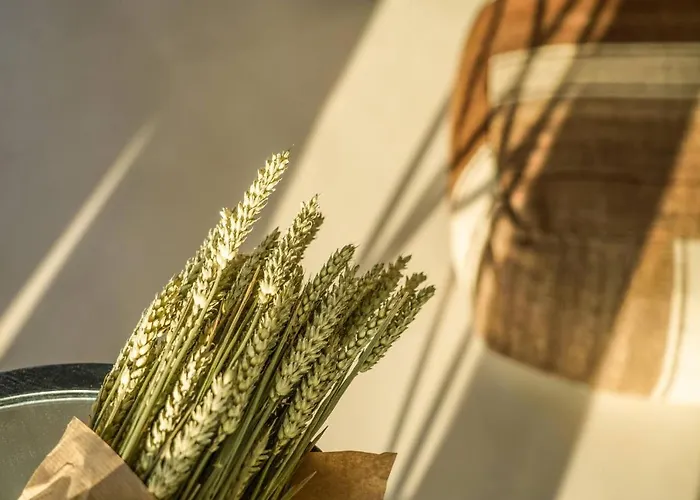 فيلة Mykonos High Sunset Plintri